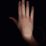 couturesellie4r_2011_anaisguegan1