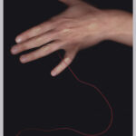 couturesellier2_2011_anaisguegan1