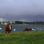 spectre_visible_anais_guegan_astrakan_finistere1