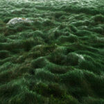 spectre_visible_anais_guegan_astrakan_finistere5